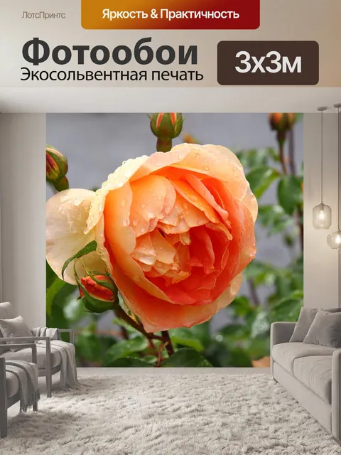 Фотообои Розы