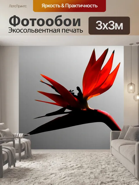 Фотообои Стрелиция
