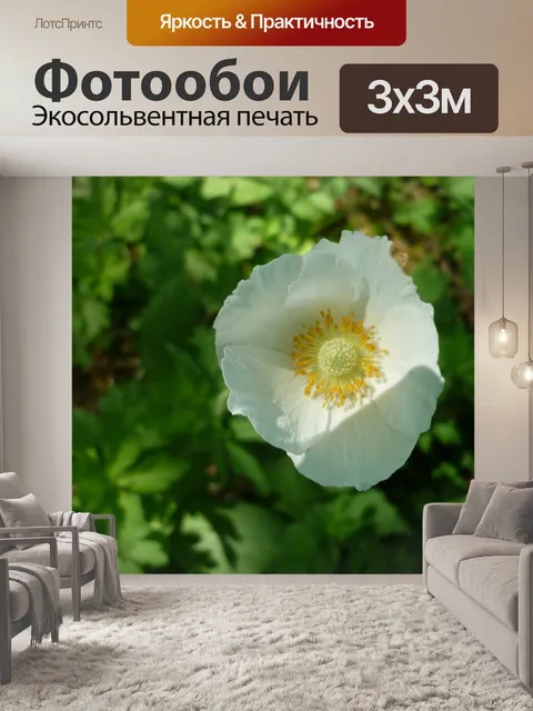 Фотообои Древесные анемоны