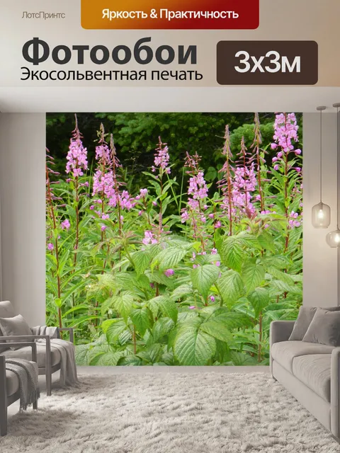 Фотообои Плуг и малина