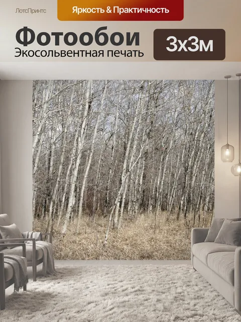 Фотообои Березы лес