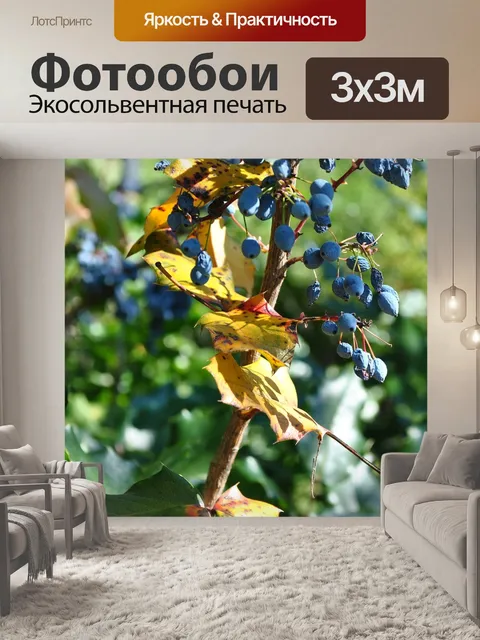 Фотообои Сад
