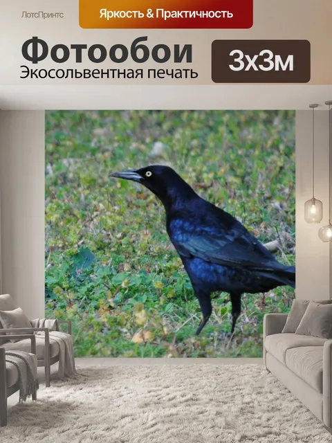 Фотообои Птица
