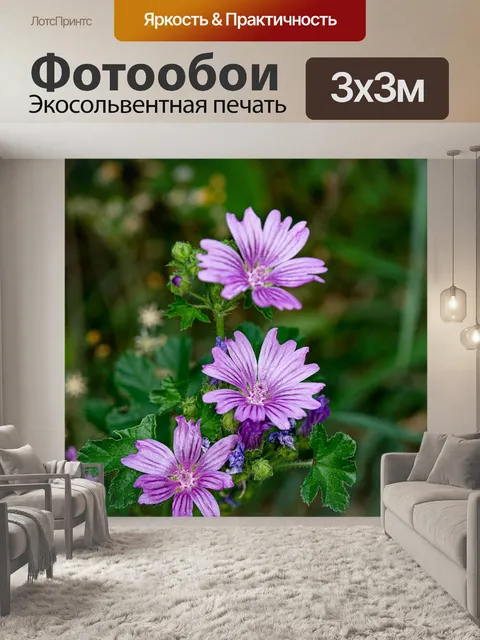 Фотообои Полевые цветы
