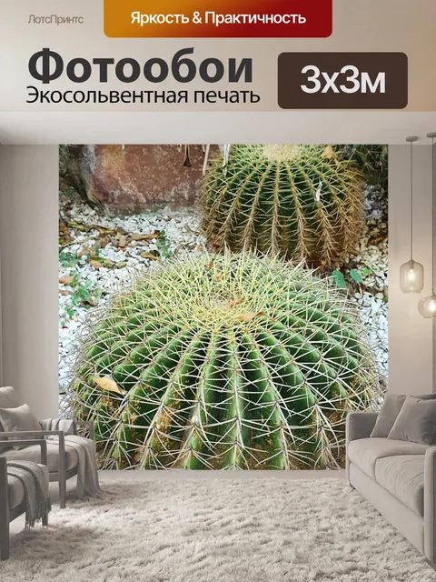 Фотообои Шип