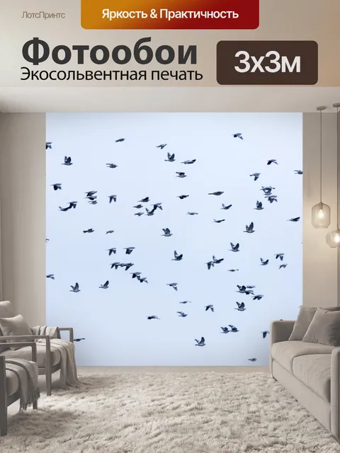 Фотообои Стая птиц