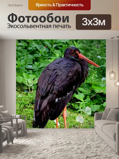 Фотообои Птица