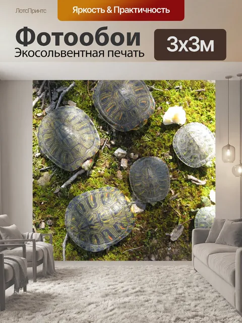 Фотообои 6 Черепахи сверху