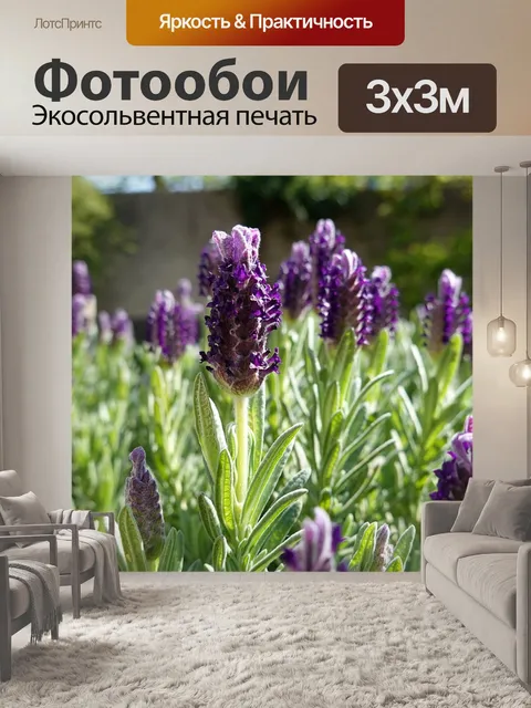 Фотообои Лаванда