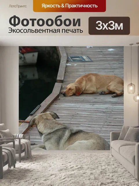 Фотообои Гавань