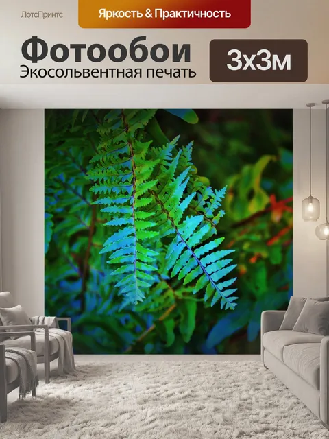 Фотообои листья папоротника