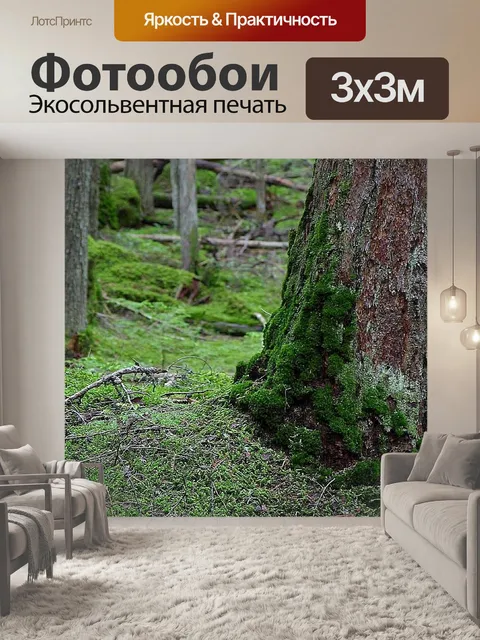 Фотообои Лес