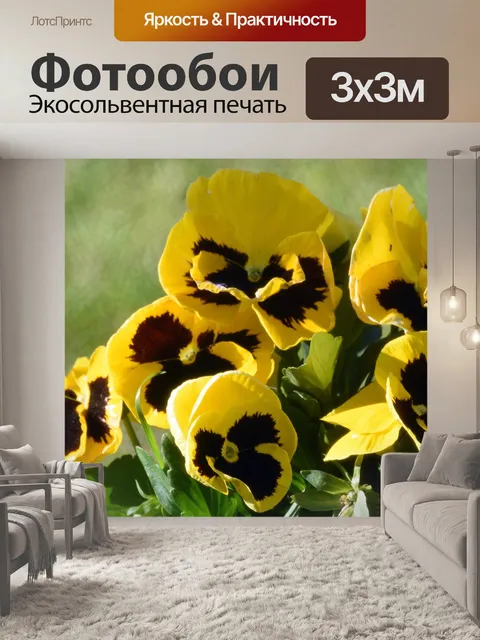Фотообои Цветы