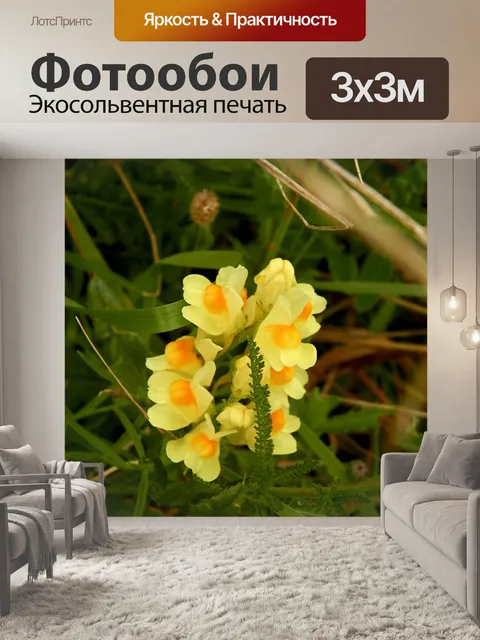 Фотообои Леса