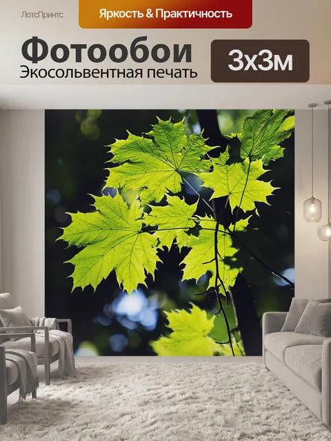 Фотообои Листья