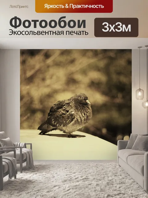 Фотообои Ночь
