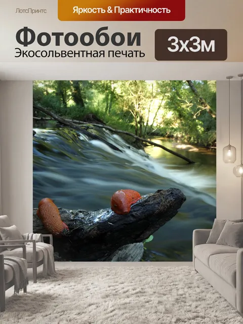 Фотообои Река