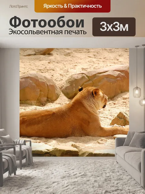 Фотообои Львица