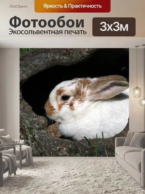 Фотообои Кролик
