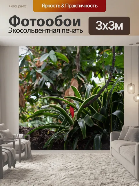 Фотообои Тропический