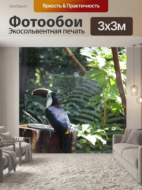 Фотообои Тукан