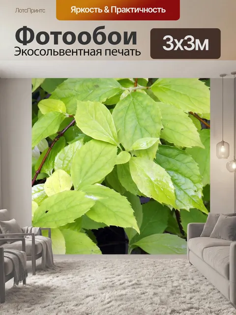 Фотообои Листья