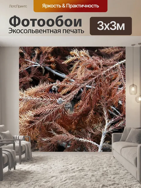 Фотообои Листья