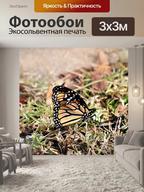 Фотообои Бабочка монарх в траве