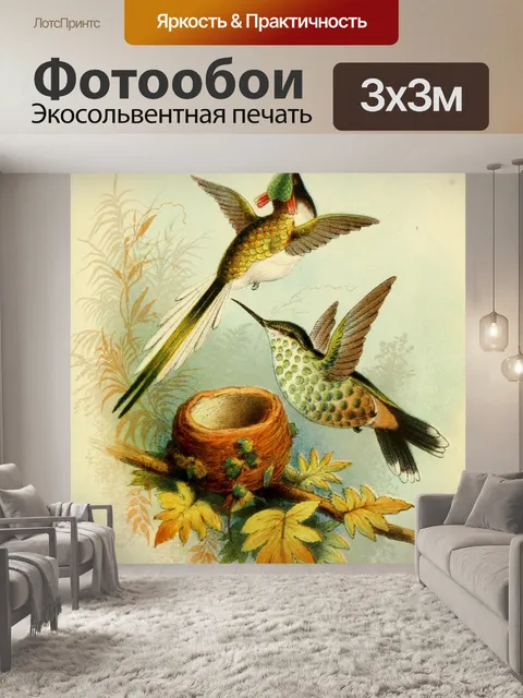 Фотообои Колибри Сангем и Бриллиант