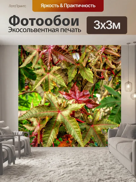 Фотообои Листья