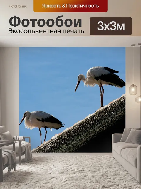 Фотообои Аист