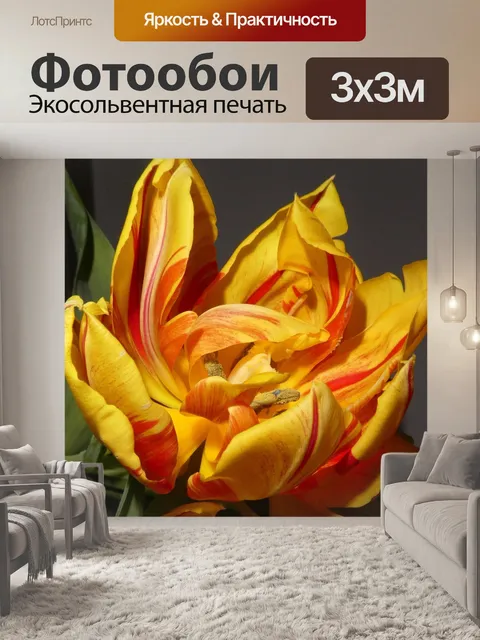 Фотообои Цветок