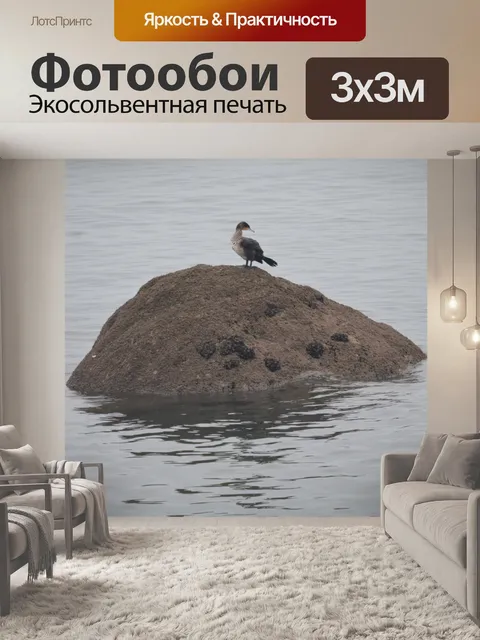 Фотообои Баклан отдыхает на скале