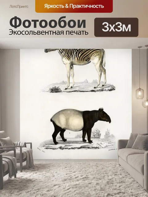Фотообои Зебра винтаж искусство старый