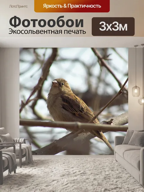 Фотообои Дерево