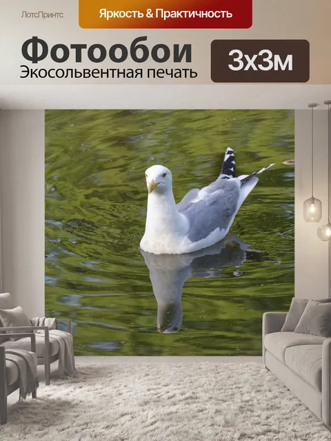 Фотообои Птица