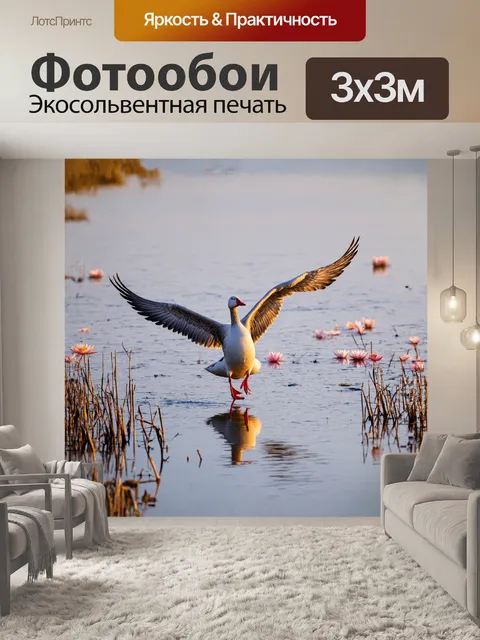 Фотообои большой снежный гусь величественно парит над безлюдным болотом