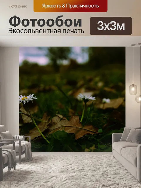 Фотообои Цветы