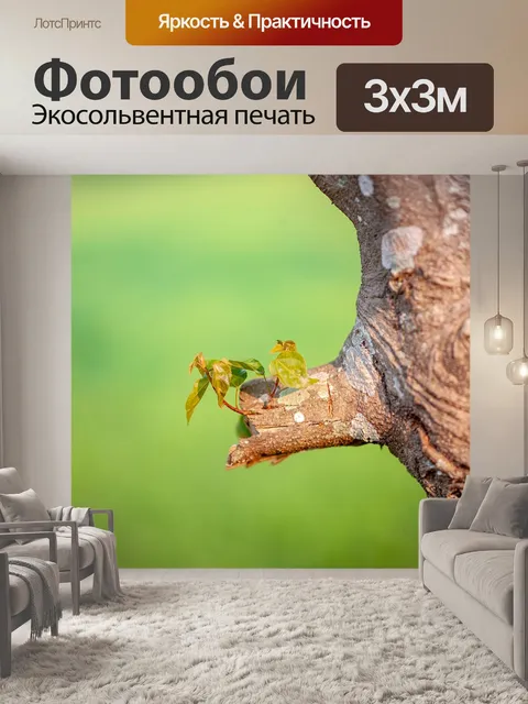 Фотообои Дерево