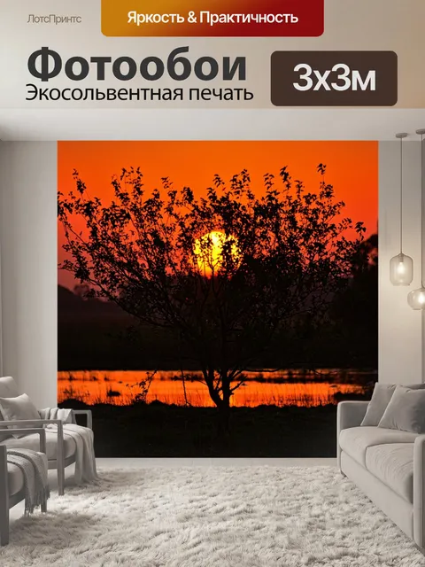 Фотообои Закат