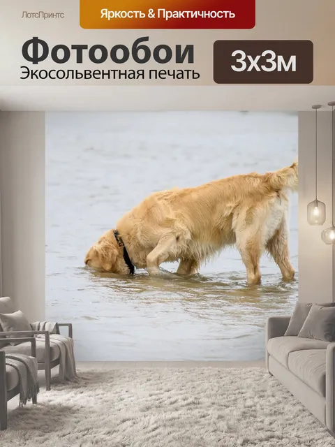 Фотообои Собака