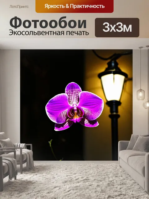Фотообои орхидея в свете уличного фонаря, романтическая ночь