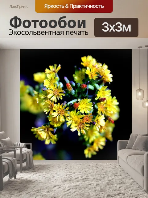Фотообои Природа