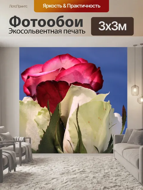 Фотообои Розы