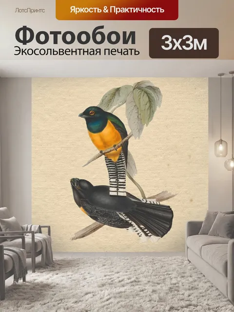 Фотообои Птица