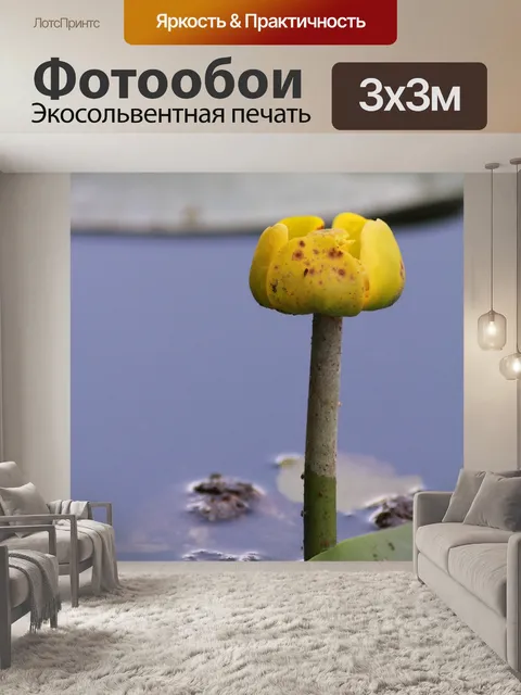 Фотообои Озеро