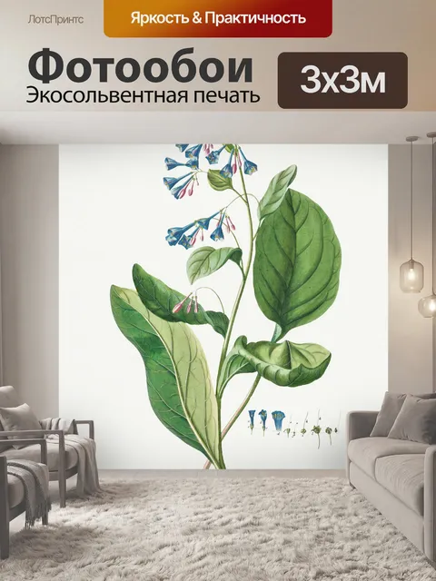 Фотообои Винтажная цветочная иллюстрация