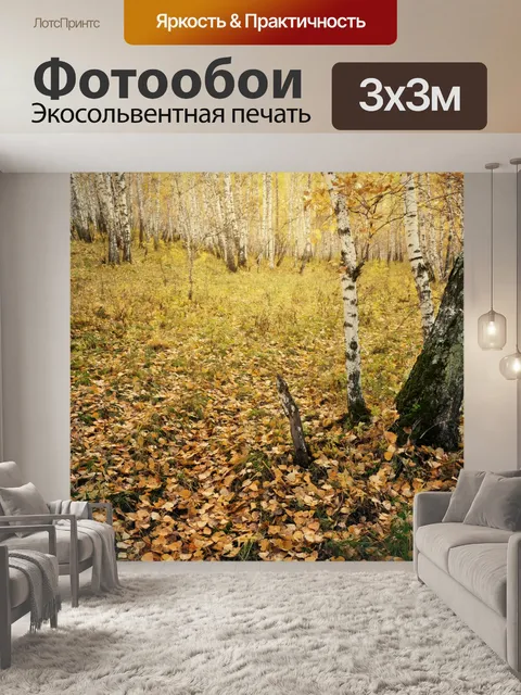 Фотообои Осенью березовый лес