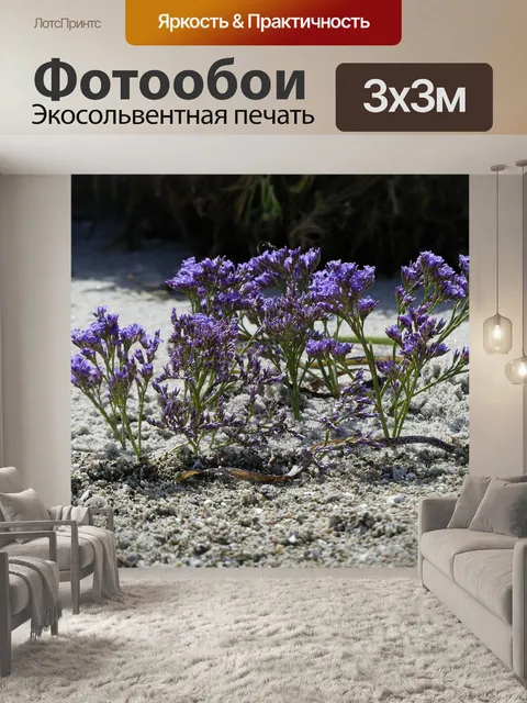 Фотообои Пляж