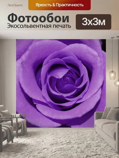 Фотообои Цветок розы фотоискусство